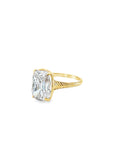 The Eras Ring (14k Yellow Gold and Diamond)