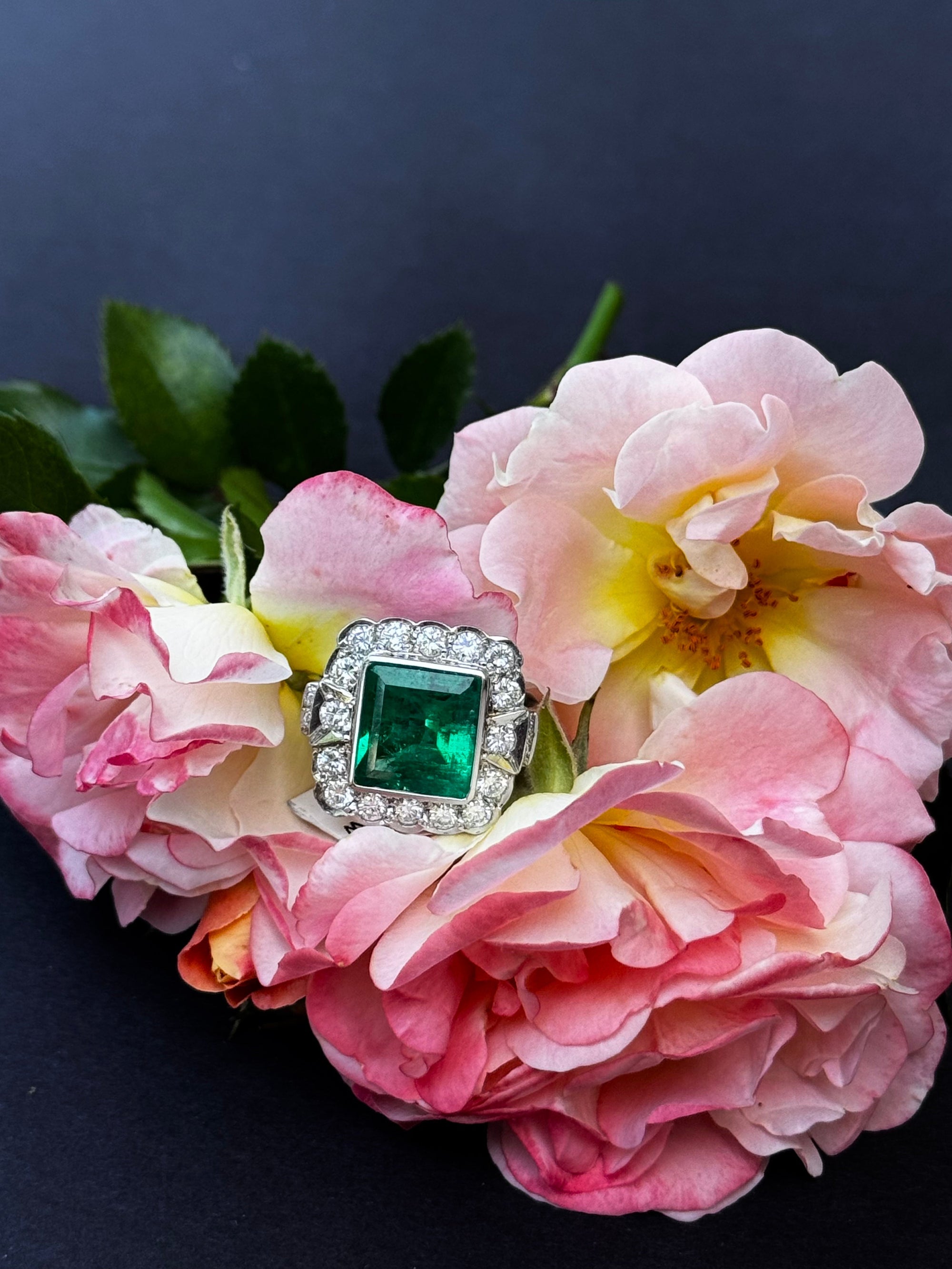 The Jewel That Stole the Show: a Spring Fête Moment