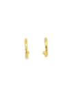Large Gold Hammered Hoops