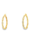 The Amelia Hoop Earrings