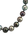 The AudreyNecklace (Gray South Sea Pearls, 14k Yellow Gold)