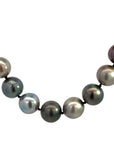The AudreyNecklace (Gray South Sea Pearls, 14k Yellow Gold)