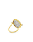 The Jessie Pivot Ring (18k Yellow Gold, Rose cut diamonds, Sterling Silver Roman Coin)