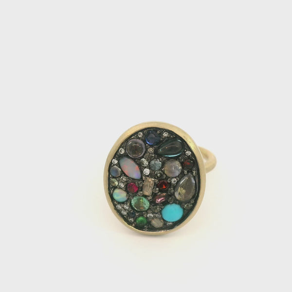 Multi Gem Treasure Ring